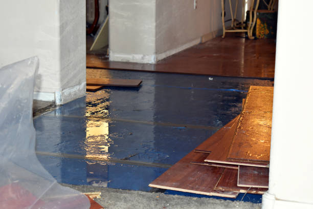 Professional Water Extraction technician working in Linden, MI